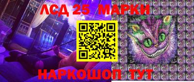mdpv Бердск