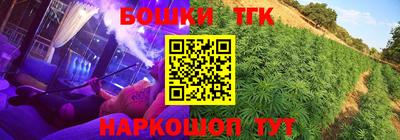 mdpv Бердск