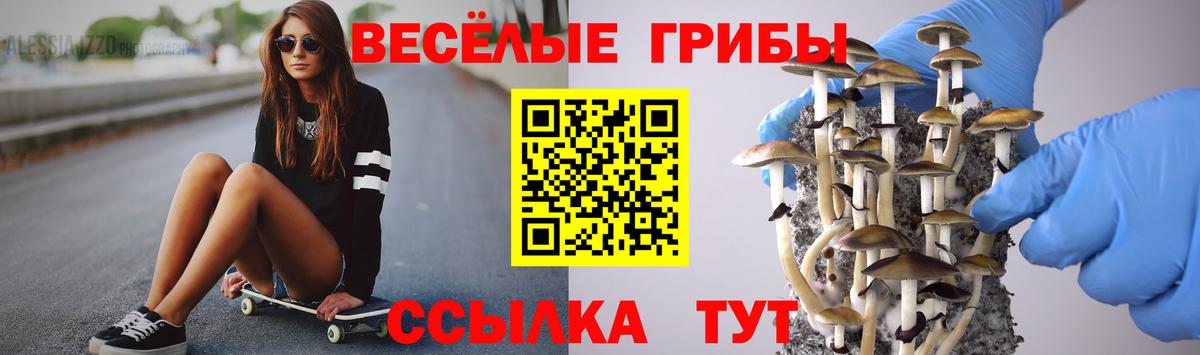 Павлово  Галлюциногенные грибы Psilocybe  Вход с VPN 